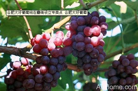 pc电子麻将胡了-(中国游)有限公司