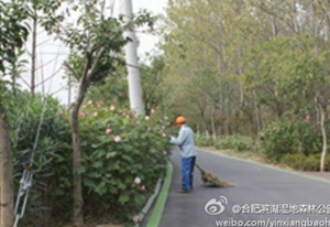 pc电子麻将胡了-(中国游)有限公司