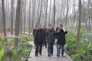 pc电子麻将胡了-(中国游)有限公司