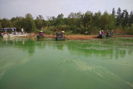 pc电子麻将胡了-(中国游)有限公司